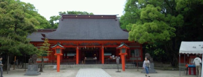 Sumiyoshi-jinja Shrine is one of 諸国一宮.