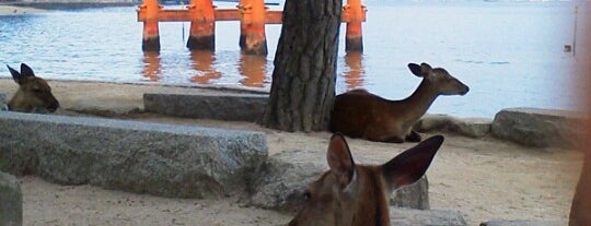 Floating Torii Gate is one of 源平ゆかりの地を訪ねる(西日本編).