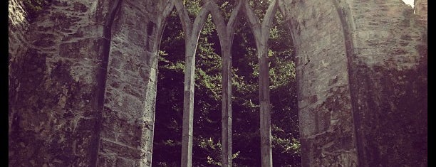 Muckross Abbey is one of Ireland - 2014.