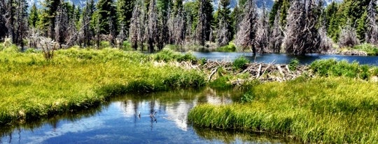 Grand Teton Ulusal Parkı is one of US National Parks.
