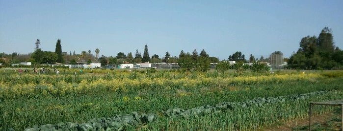 Full Circle Farm is one of South Bay Best Bay.