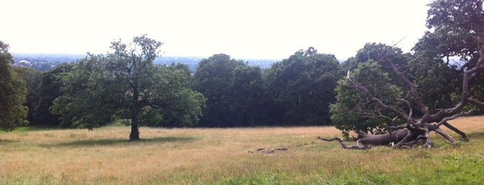 Shooters Hill is one of Best views - London.