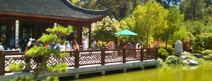 The Huntington Library, Art Collections, and Botanical Gardens is one of Meet Your Match in LA: Urban Intellectuals.