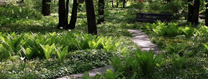 Ботанический сад МГУ «Аптекарский огород» is one of Moscow New Wave.