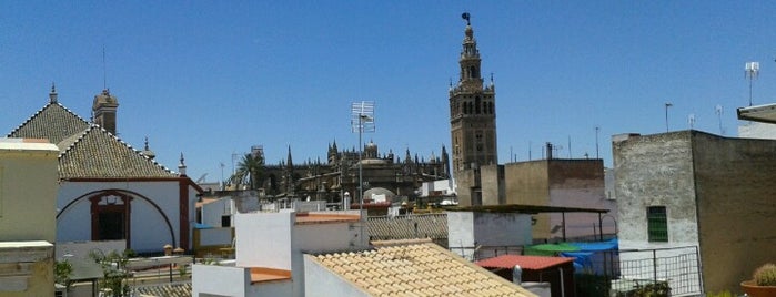 Hotel Murillo Centro Sevilla is one of 36 hours in... Seville.