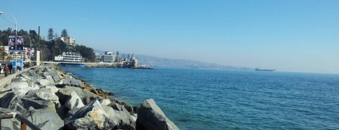 Costanera de Viña del Mar is one of Valparaíso e Viña del Mar.