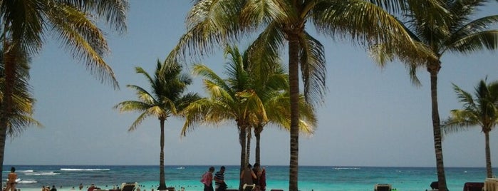 Barceló Maya Tropical is one of Lugares favoritos de Lina.