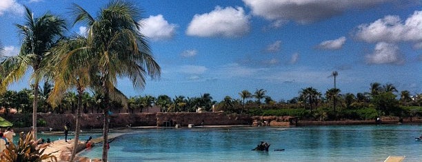 Dolphin Cay is one of Atlantis.