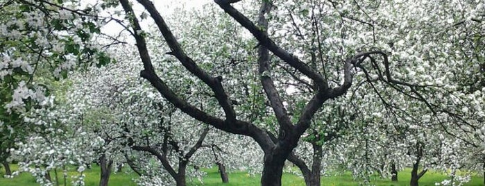 Яблоневый сад is one of Natur Punkt.