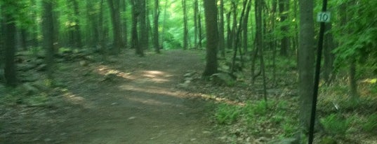 Cross Farm Disc Golf is one of Connecticut Disc Golf Courses.