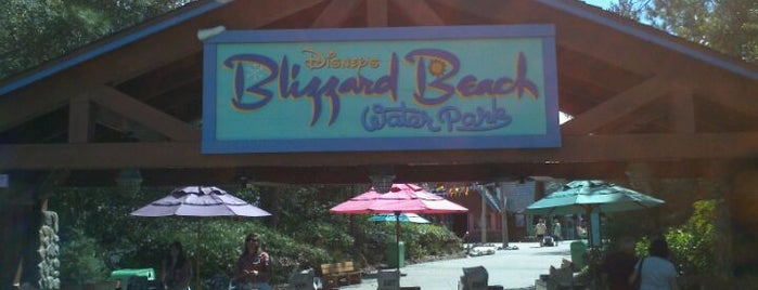 Disney's Blizzard Beach Water Park is one of Disney World/Islands of Adventure.