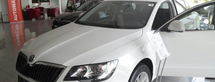 Škoda Efe Motorlu Araçlar is one of Barış : понравившиеся места.