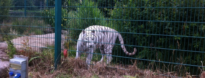 Isle Of Wight Zoo is one of Sharon'un Beğendiği Mekanlar.