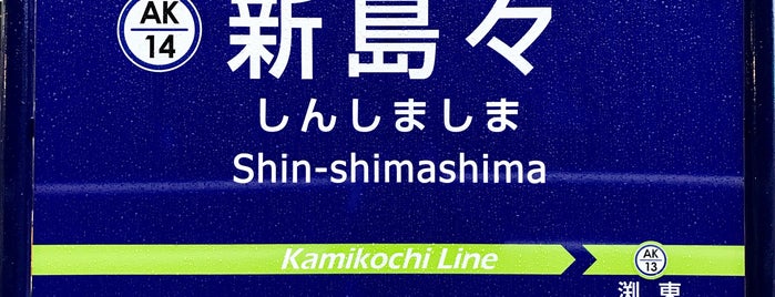 Shinshimashima Station is one of 終着駅.