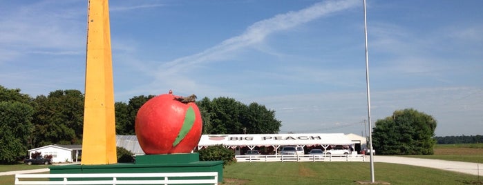 The Big Peach is one of Southern Indiana.