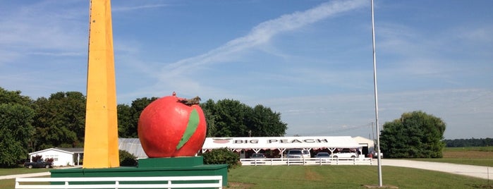 The Big Peach is one of roadside oddities.