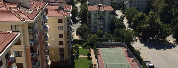 Seyba sıtesı is one of Lugares favoritos de 2tek1cift.
