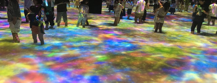DMM.PLANETS Art by teamlab is one of Tokyo.