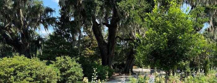 Magnolia Plantation & Gardens is one of Gardens / Parks.