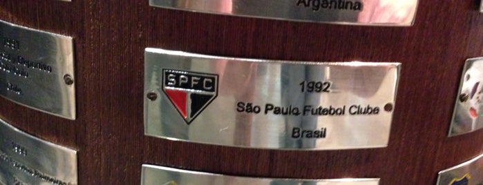 Museu do Futebol is one of Posti che sono piaciuti a Alexandre.