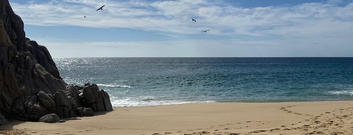 Lover's Beach is one of Los Cabos.