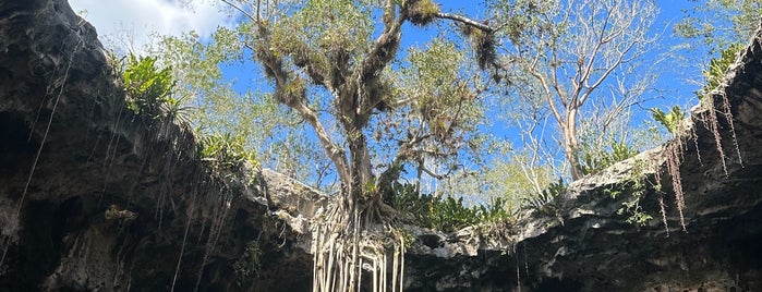 Cenotes Santa Barbara is one of Locais curtidos por Perlititita.