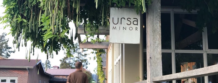 Ursa Minor is one of Lieux qui ont plu à Cusp25.