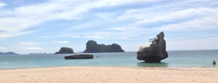 Cathedral Cove (Te Whanganui-A-Hei) is one of Lieux qui ont plu à Cusp25.