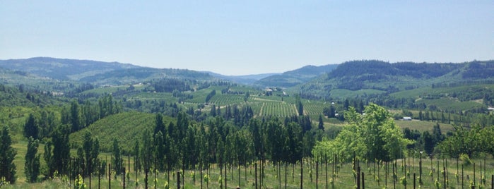 analemma winery is one of Lieux qui ont plu à Cusp25.