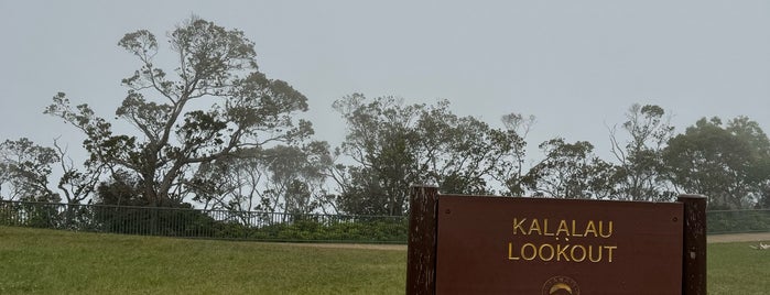 Koke'e State Park is one of Kauai.