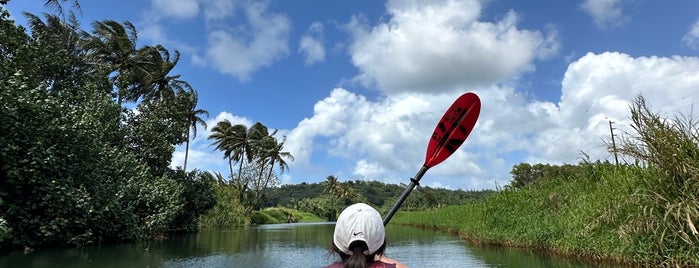 Kayak Hanalei is one of Kauai Faves.