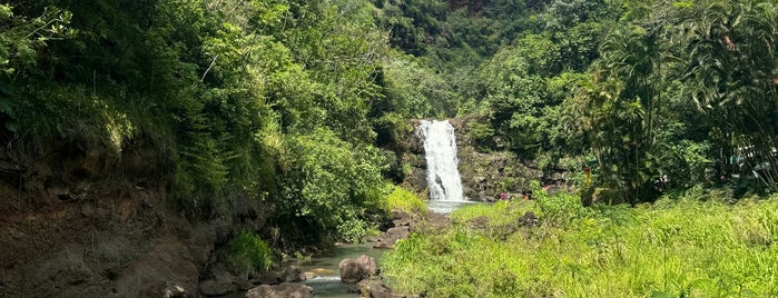 Waimea Valley Adventure Park is one of Hawaii.
