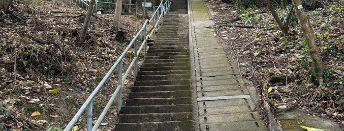 Lung Fu Shan Country Park is one of Hiking HKG.