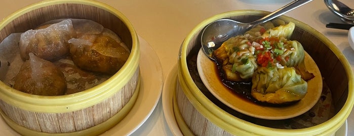 Shisen Hanten is one of Singapore (yet-to-try).