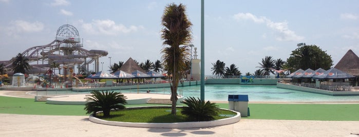 Wet 'n Wild is one of Cancun a donde vamos?.