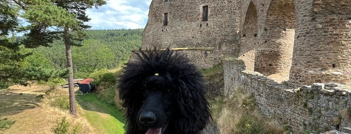 Velhartice Castle is one of Se psem na výlet.
