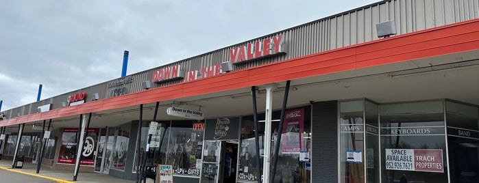 Down In The Valley is one of Twin Cities Vinyl Shops.