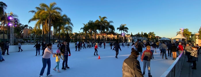 Rady Childrens Ice Rink is one of San Diego.