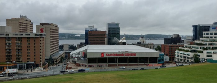 Scotiabank Centre is one of Only Cowards Stay While Traitors Run.