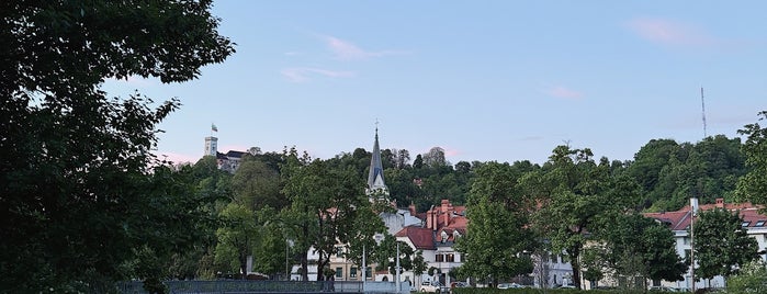 Ljubljanica is one of Ljubljana.