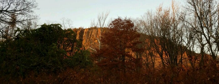 West Rock Scenic Lookout New Haven, CT is one of Tempat yang Disukai Rick E.