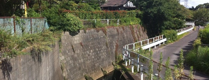 桜橋 (矢指川) is one of 帷子川に架かる橋と周辺の公園・史跡.