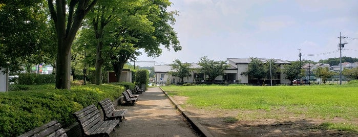 三輪中央公園 is one of 散歩にはとっておきの公園.