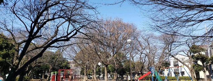 井田公園 is one of 散歩にはとっておきの公園.
