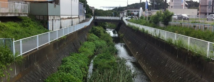 食品館あおば 駐車場連絡橋 is one of 帷子川に架かる橋と周辺の公園・史跡.