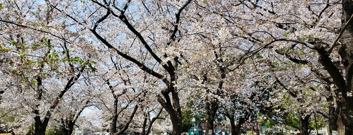 大師公園 is one of 散歩にはとっておきの公園.