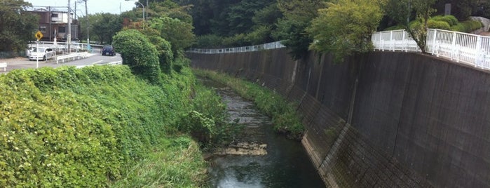 清来寺橋 is one of 帷子川に架かる橋と周辺の公園・史跡.