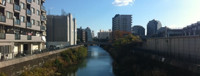 星川橋 is one of 帷子川に架かる橋と周辺の公園・史跡.