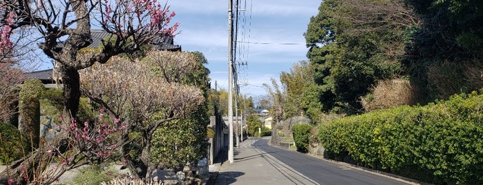 八所坂 is one of 横浜の坂道を歩く.