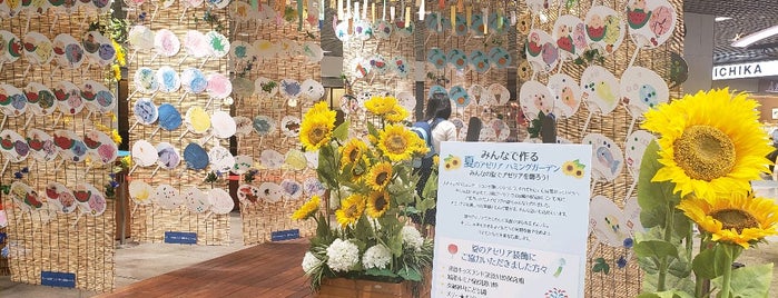 川崎アゼリア Azalea